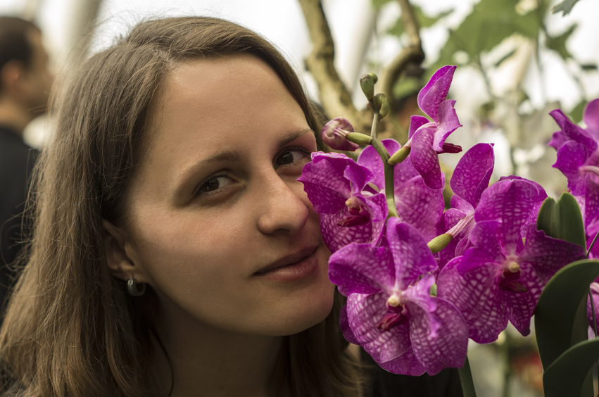 Alysson orchidée