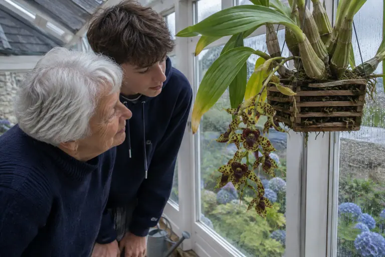 Dans une véranda bretonne, une grand-mère et son petit-fils observent un Catasetum suspendu, aux fleurs vertes tachetées de bordeaux
