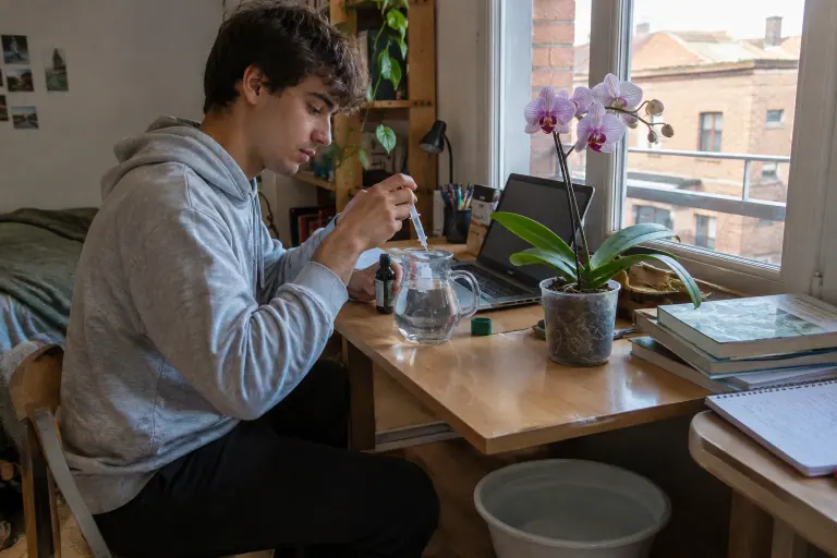 Un étudiant dose quelques millilitres d’engrais liquide à la seringue dans une carafe d’eau, à côté d’une orchidée Phalaenopsis posée sur son bureau