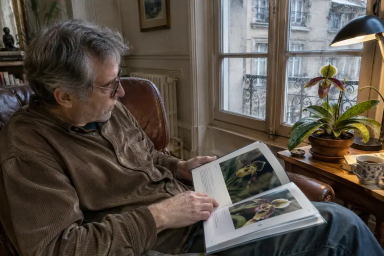 Un homme compare la photo d’un livre illustré ouvert sur ses genoux avec un paphiopedilum en fleur posé sur un guéridon, un dimanche pluvieux