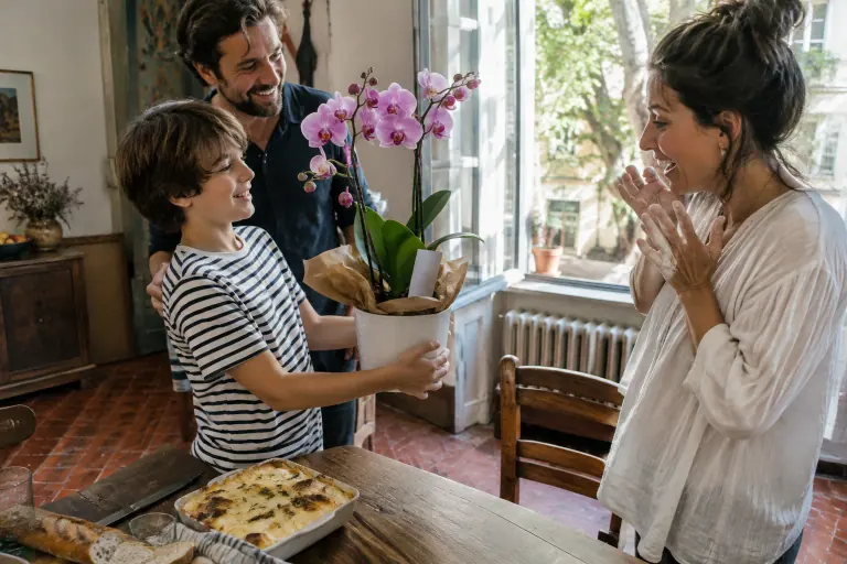 Un garçon offre à sa mère une orchidée phalaenopsis rose dans un cache-pot blanc emballé de papier kraft, dans une cuisine lyonnaise un dimanche de mai