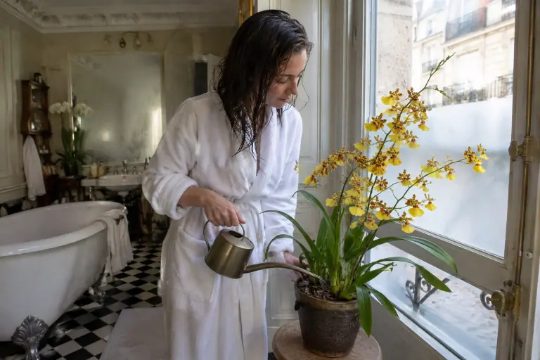 Dans une salle de bain haussmannienne, une jeune femme arrose au bec fin un Oncidium jaune couvert de petites fleurs, posé près de la fenêtre