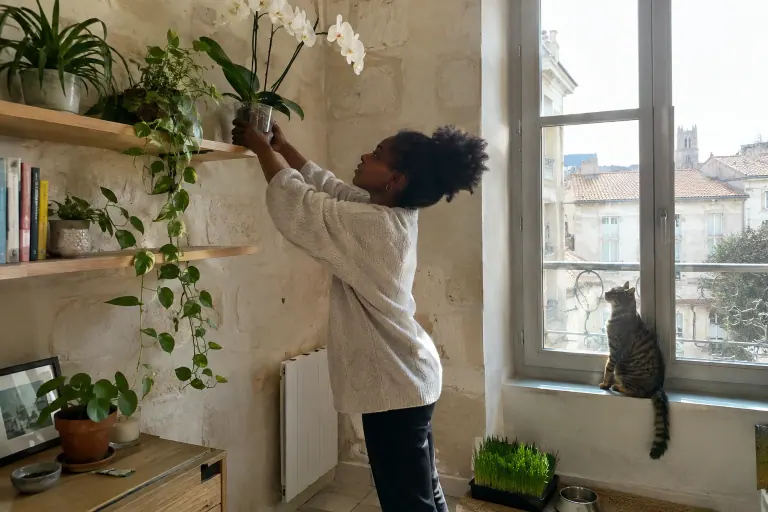 Une jeune femme pose un Phalaenopsis blanc sur une étagère murale haute pendant que son chat tigré l’observe depuis le rebord de la fenêtre