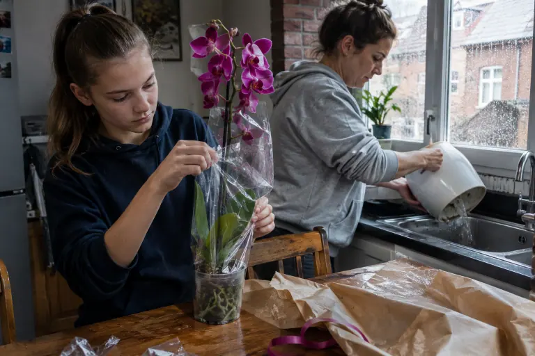Une adolescente retire le manchon plastique d’une orchidée magenta en fleur pendant que sa mère vide l’eau restée au fond du cache-pot
