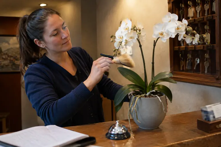 Une réceptionniste dépoussière au pinceau une orchidée artificielle blanche à deux tiges posée sur le comptoir sans fenêtre d’un petit hôtel