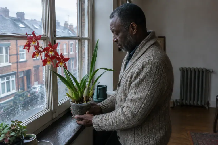 Un homme soupèse le pot transparent d’un Cambria à fleurs rouges et labelle jaune, sur le rebord de fenêtre d’une maison en briques à Lille