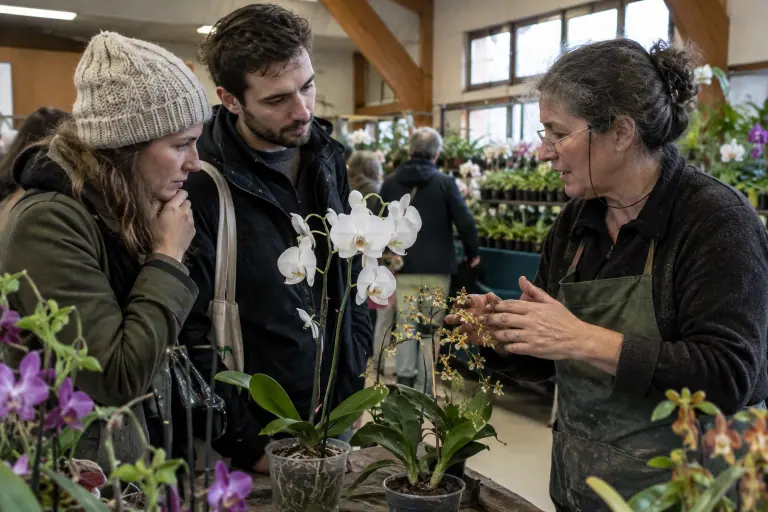 Un jeune couple hésite entre un phalaenopsis blanc à deux hampes et une petite orchidée botanique sur le stand d’une productrice, lors d’une exposition