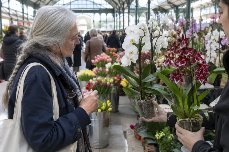 Au marché couvert, une femme compare un Phalaenopsis blanc à deux tiges et un Cambria rouge tacheté que lui présente le fleuriste
