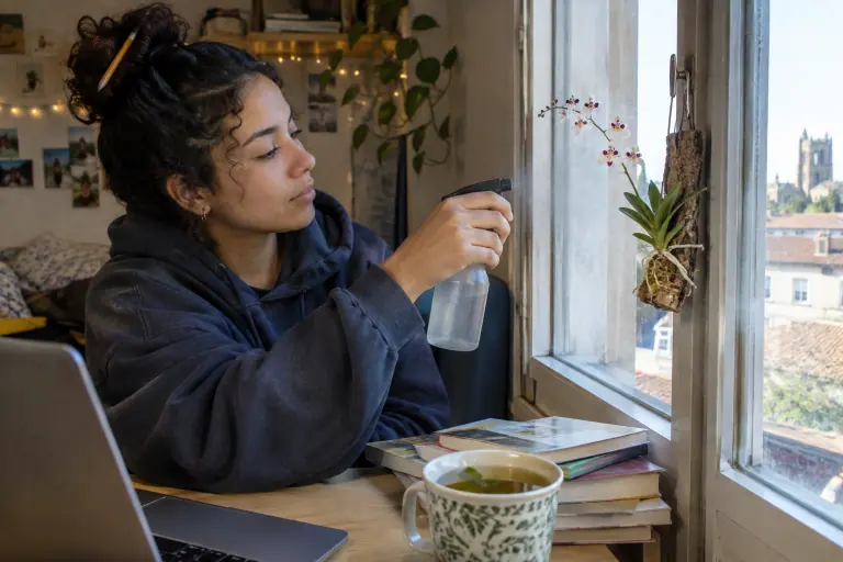 Dans un studio d’étudiante, une jeune femme vaporise un petit Tolumnia monté sur liège, aux fleurs blanches et roses tachetées de rouge